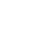 zont1x